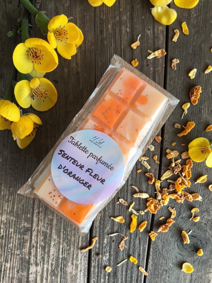 Tablettes parfumées - Parfum au choix +45g - NLA Creations 
