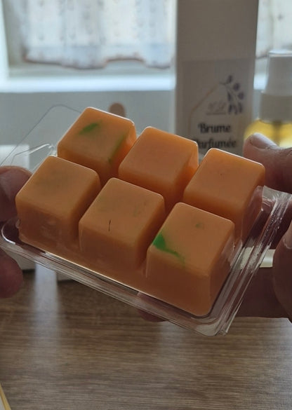 Fondant Clamshell 6 carrés – Personnalisable & pratique - NLA Creations 