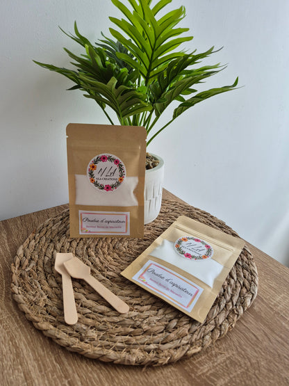 Poudre d'aspirateur - Senteur Savon de Marseille 50g